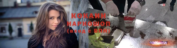 крисы Белокуриха