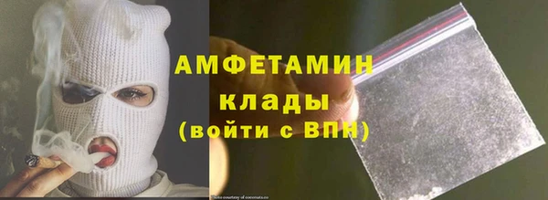 шишки Беломорск