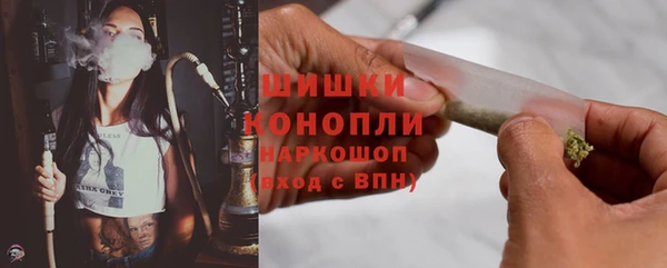шишки Беломорск