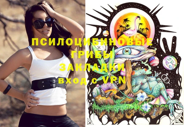 крисы Белокуриха