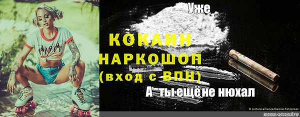 шишки Беломорск