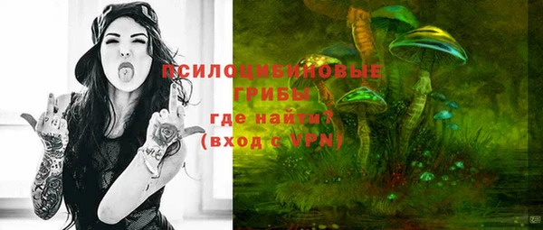 гидропоника Богданович